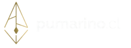 pumarino.cl